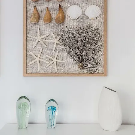 Seashell Bocianie Gniazdo Apartamento *