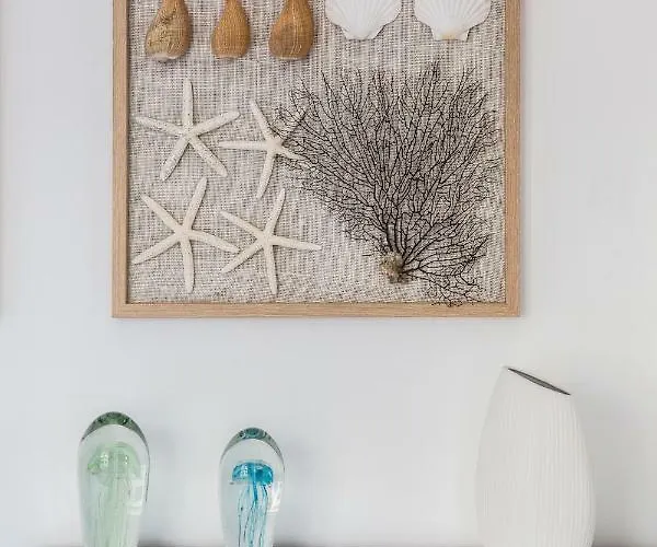 Seashell Bocianie Gniazdo Apartamento *