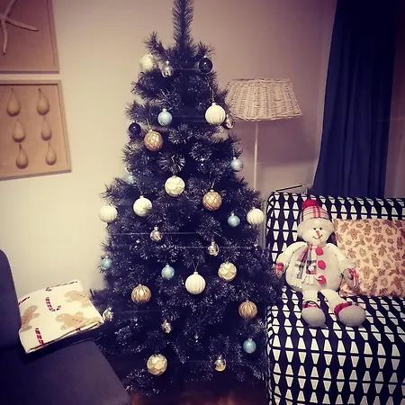 Seashell Bocianie Gniazdo